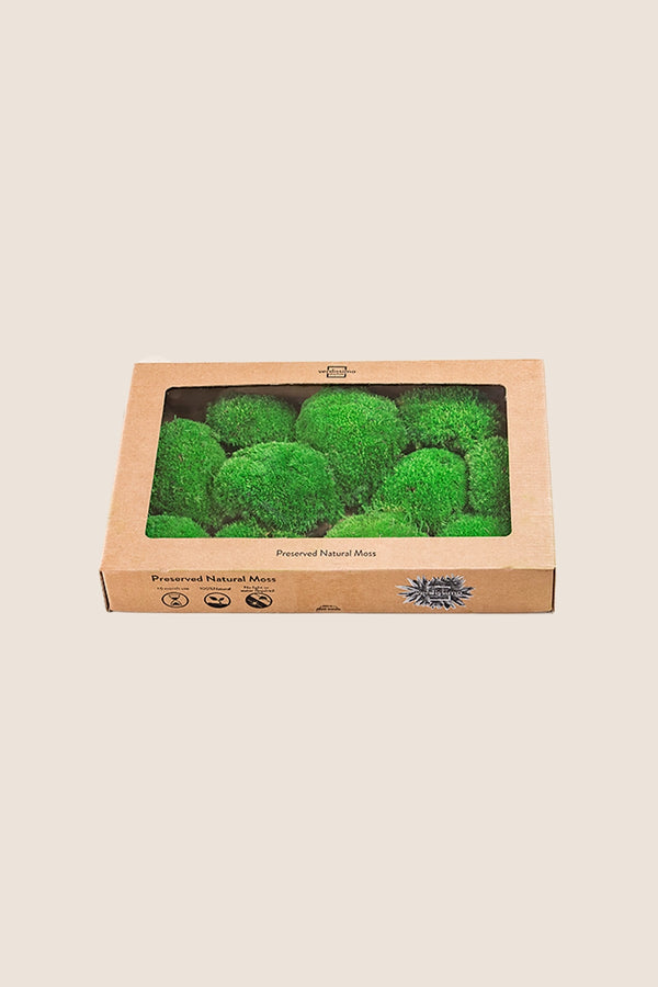 Polemoss W-box