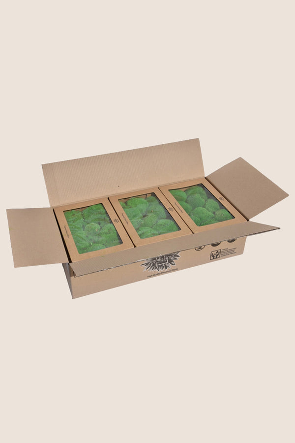 Polemoss W-box