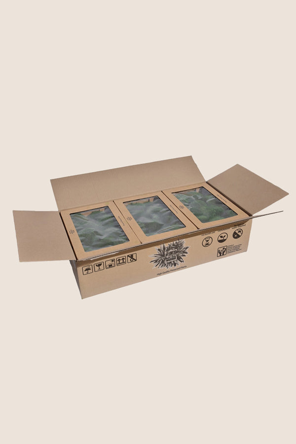Polemoss W-box
