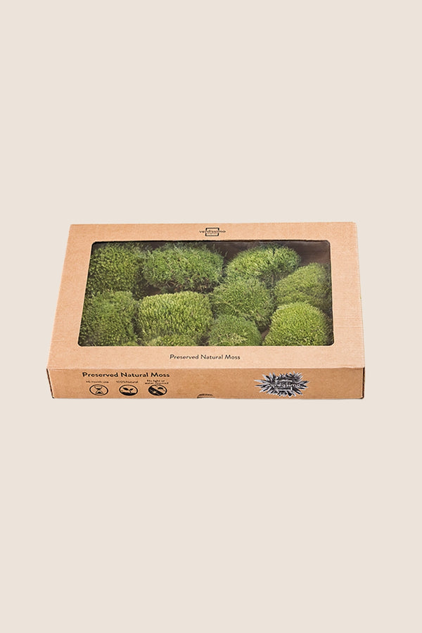 Polemoss W-box