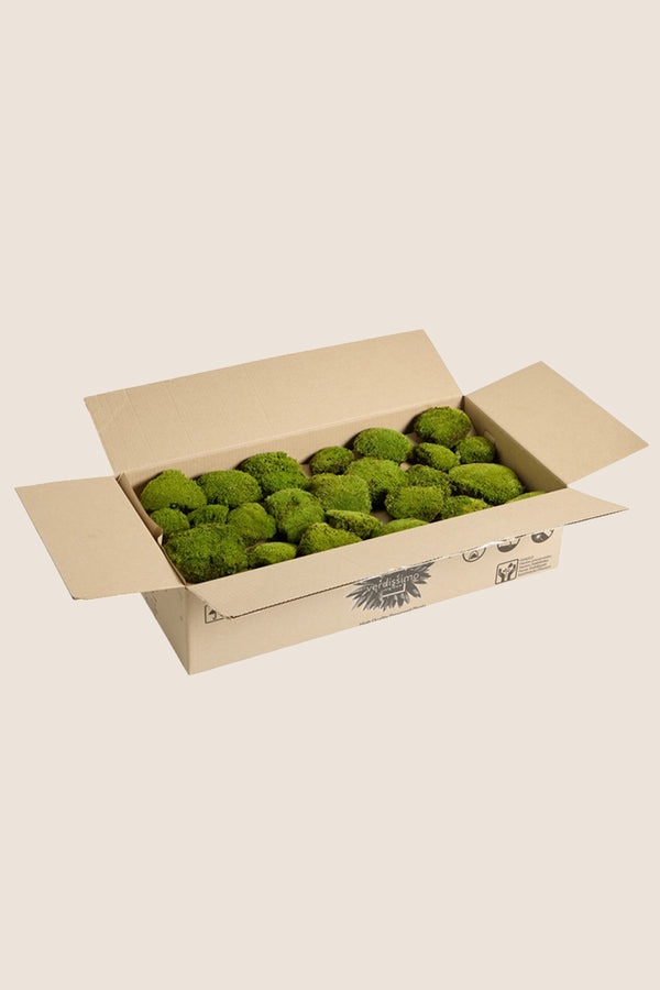 Polemoss - Bulk Box
