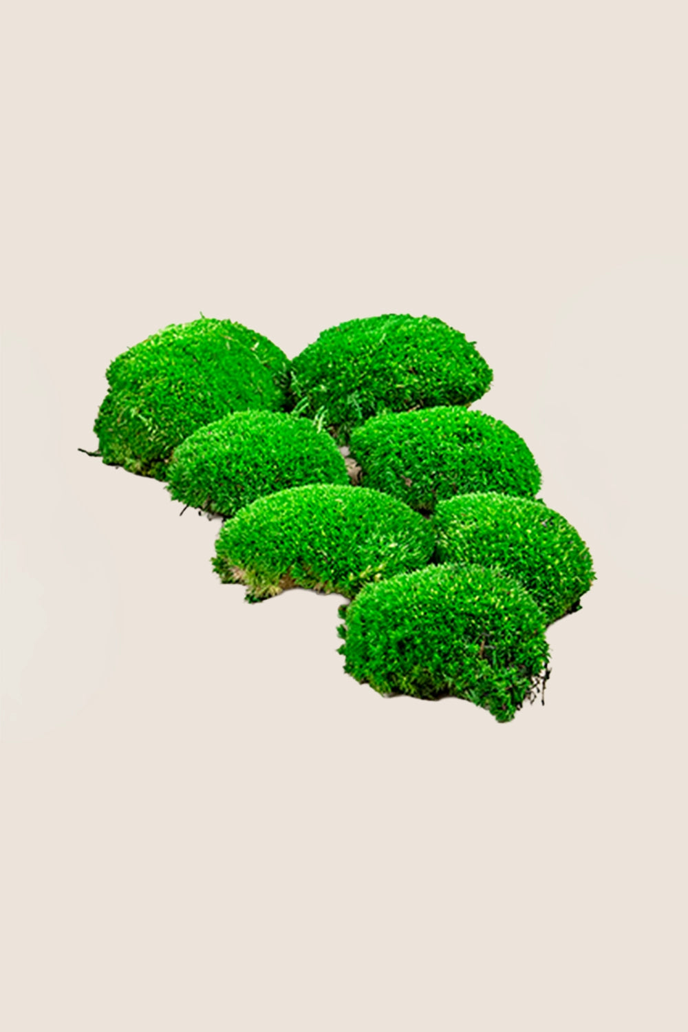 Polemoss - Caja a granel