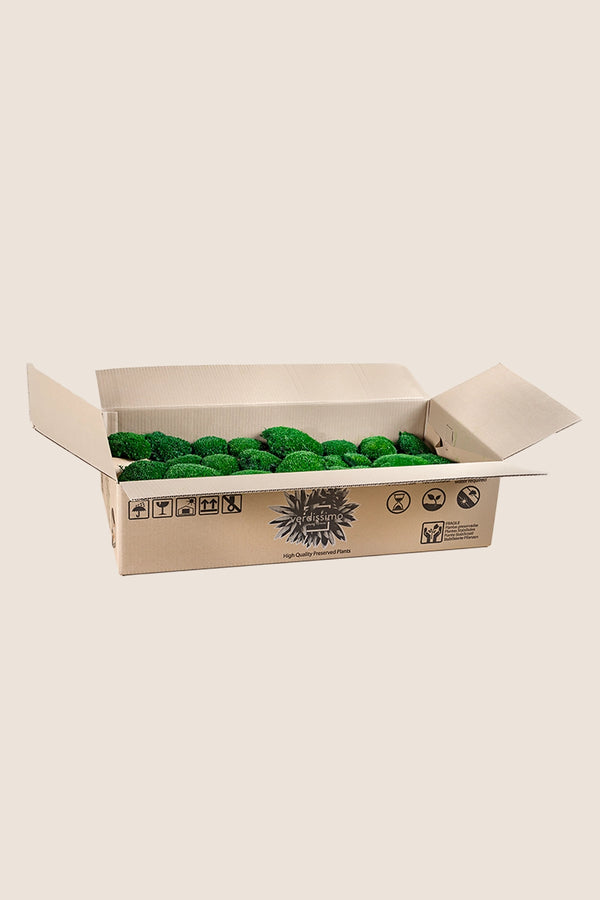 Polemoss - Bulk Box