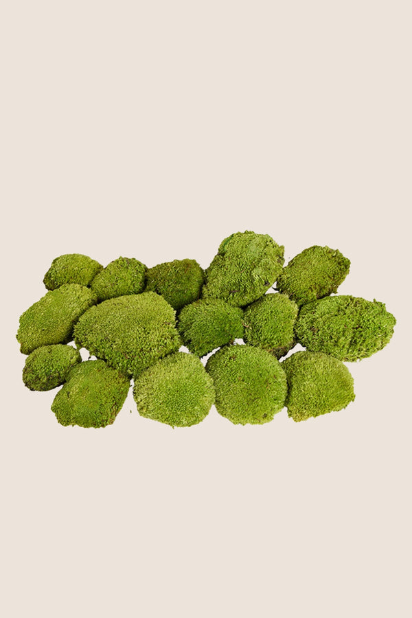 Polemoss W-box