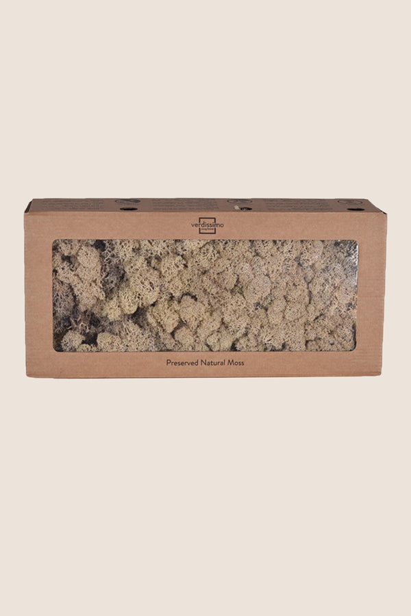 Lichen W-box