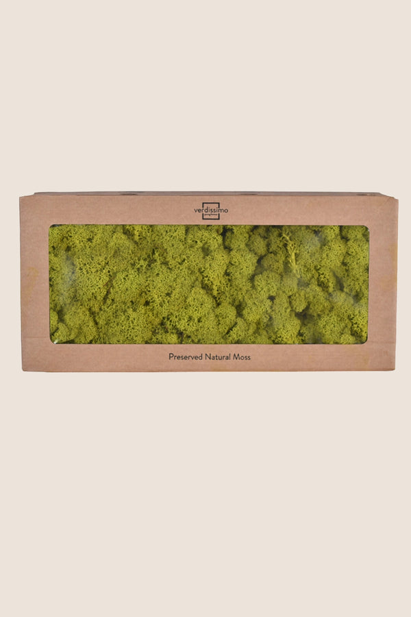Lichen W-box