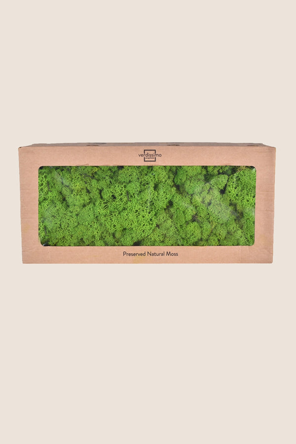 Lichen W-box