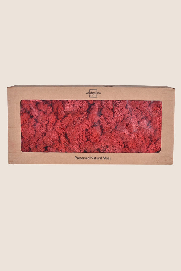Lichen W-box