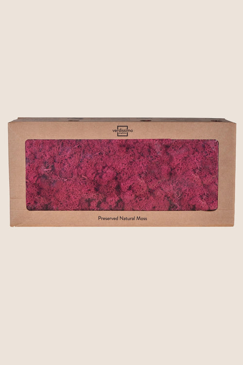Lichen W-box