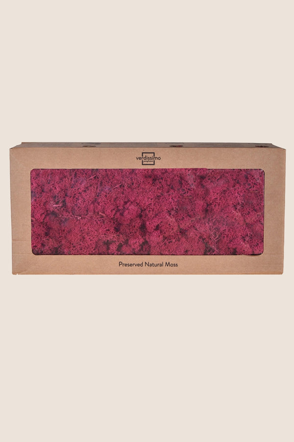 Lichen W-box