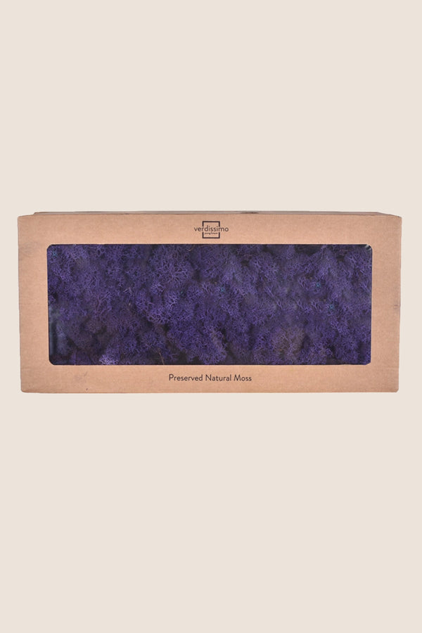 Lichen W-box