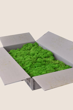 Vert pomme