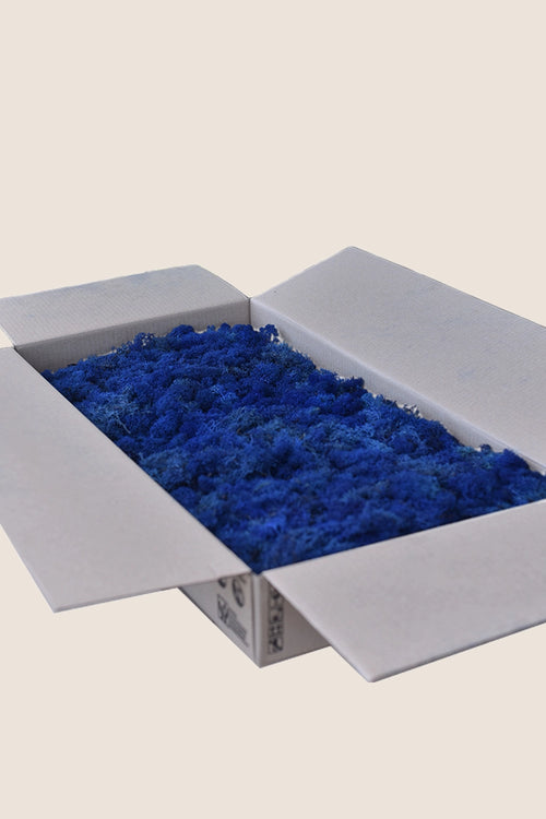 Lichen ~2Kg - Vrac