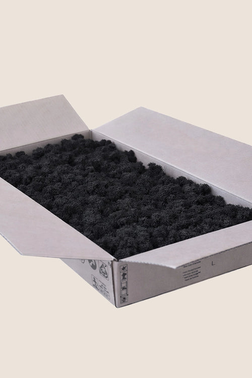 Lichen ~2Kg - Vrac