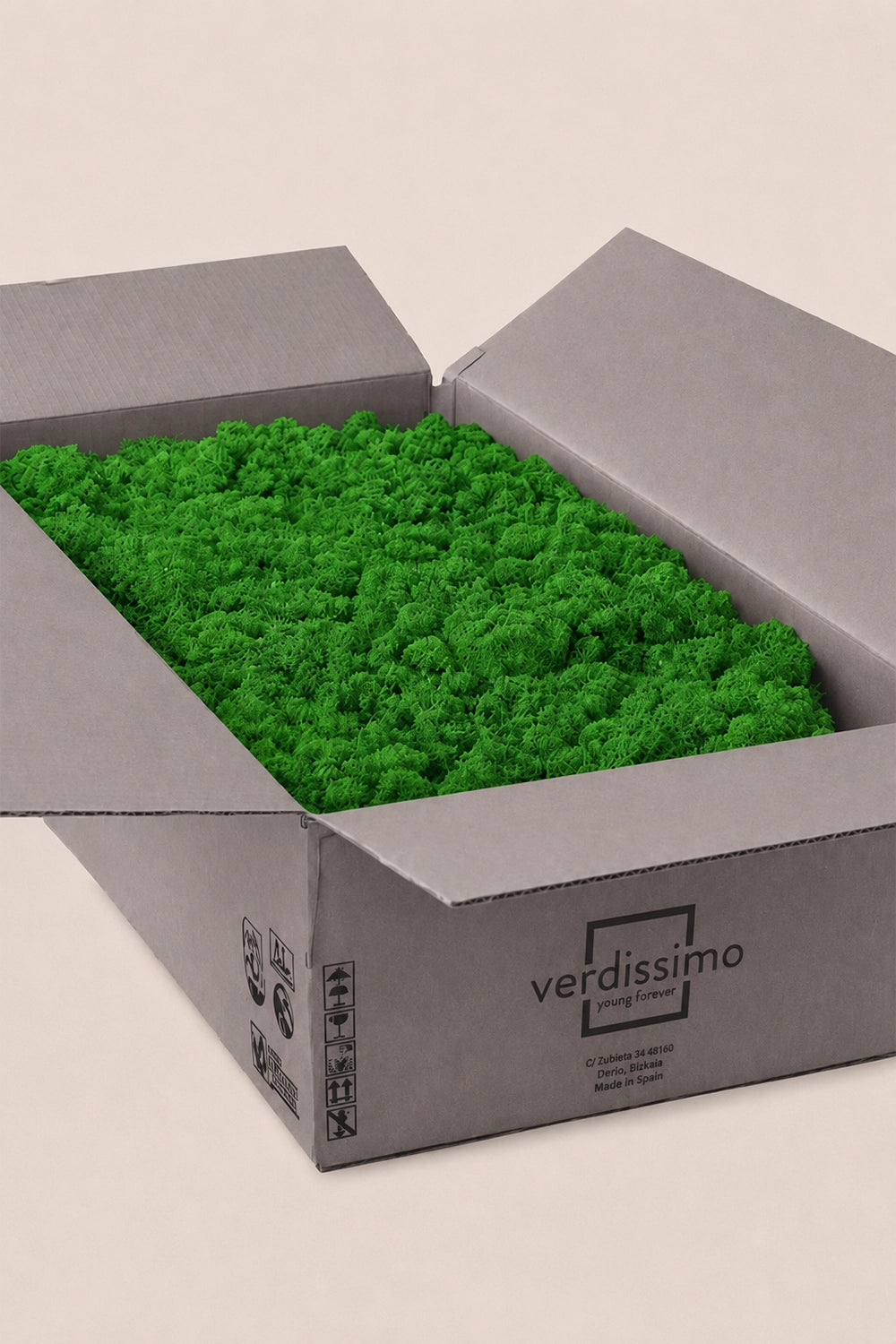 Lichen ~5 kg - Boîte en vrac
