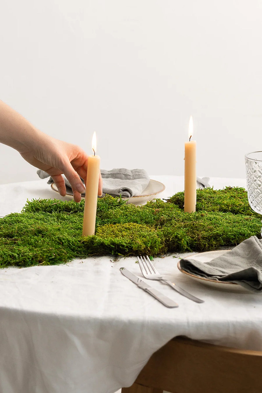 <p>Moss</p>
