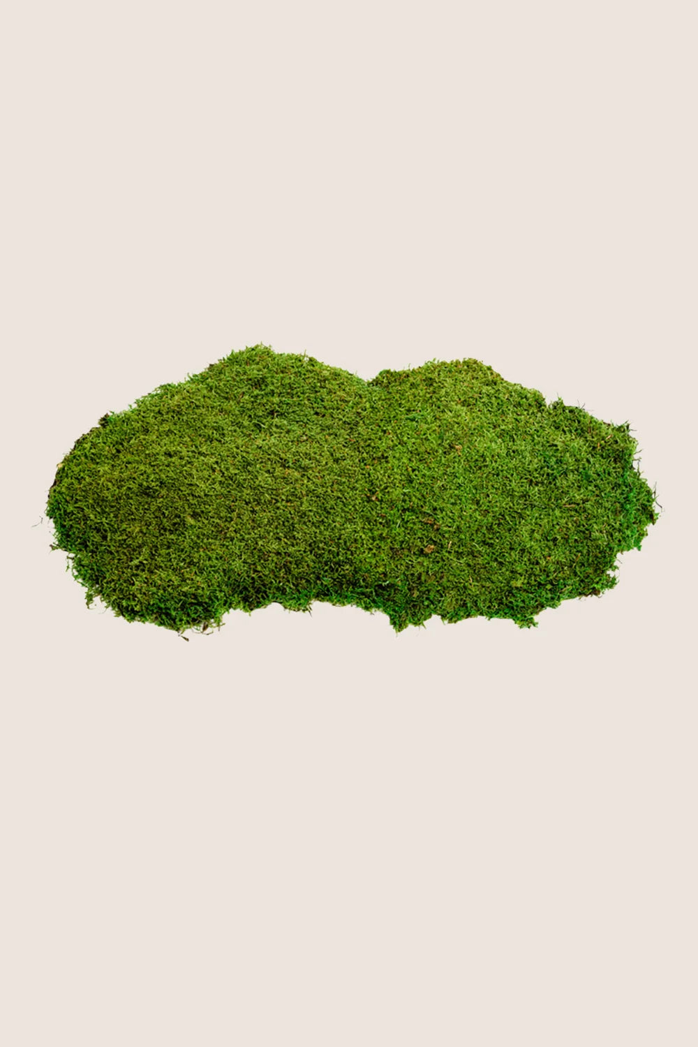 Flat Moss - Bulk Box