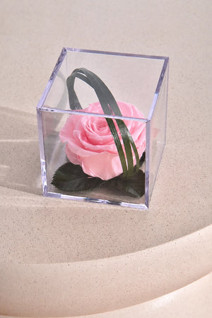 pastellrosa