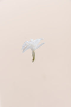 Weiß