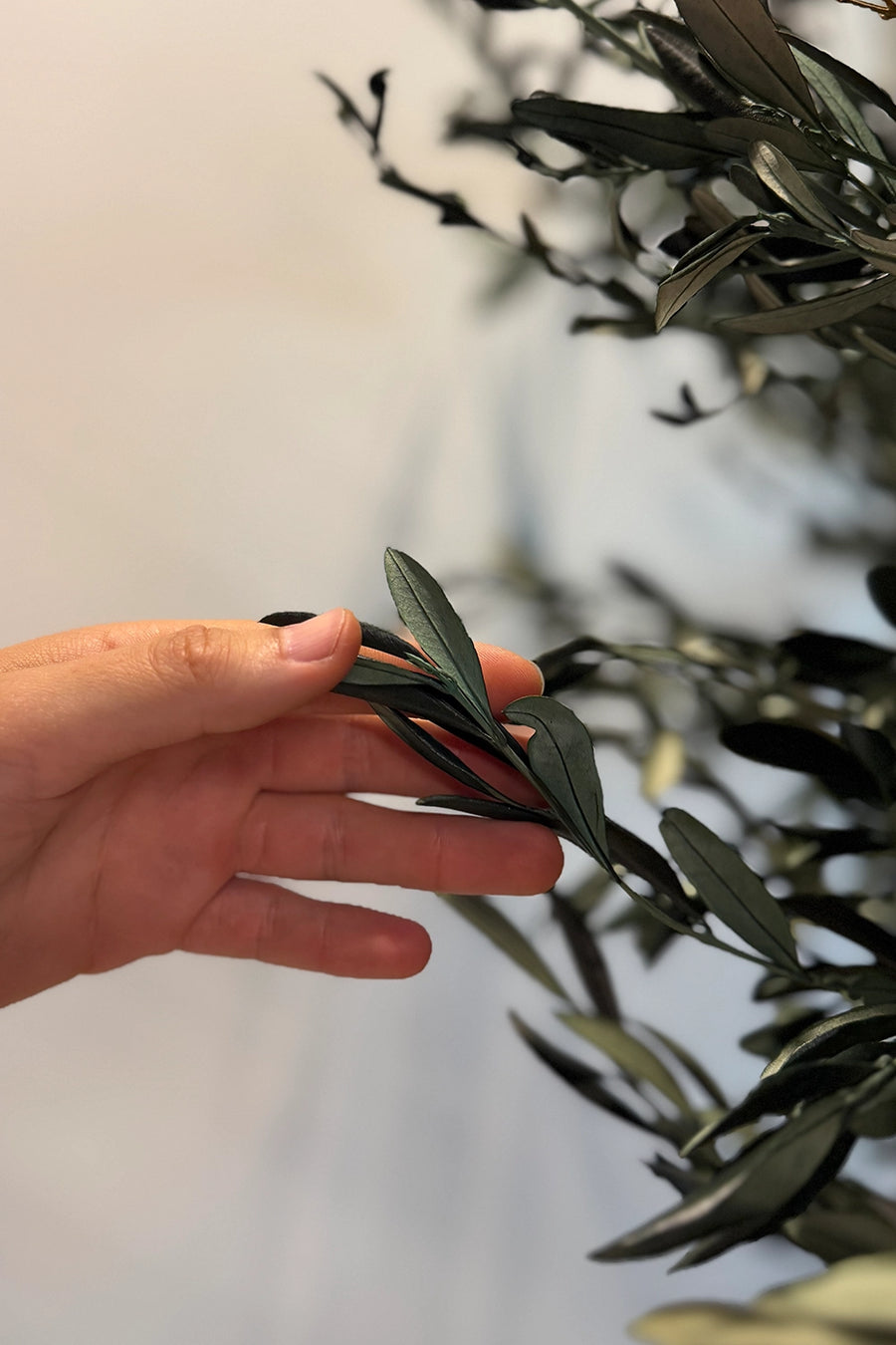 <p>Greenery</p>