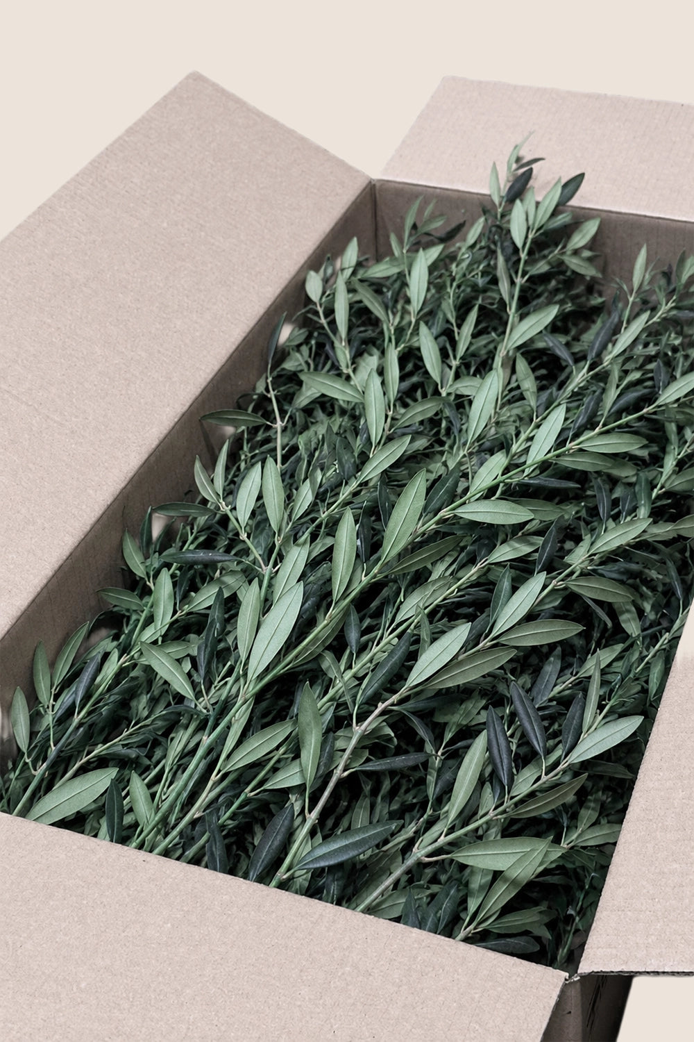 Olive bulk