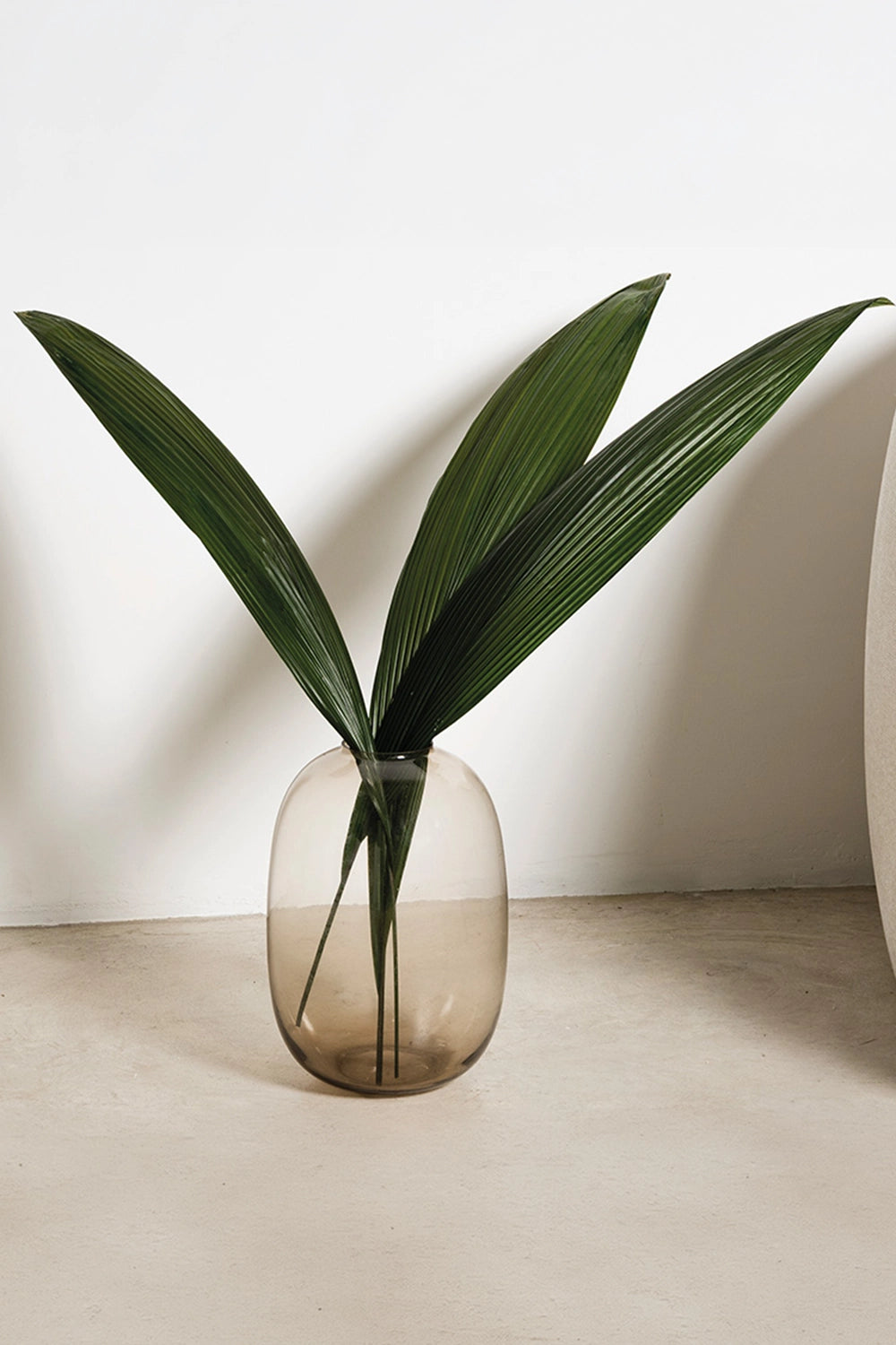Palm grass