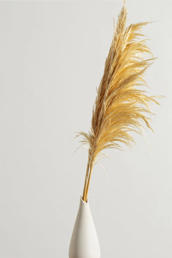 Pampa