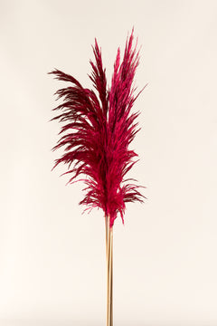 Dark Pink