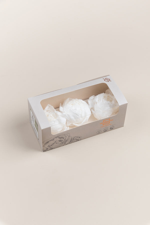 Peony - Box 3 heads