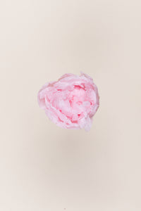Rose pâle