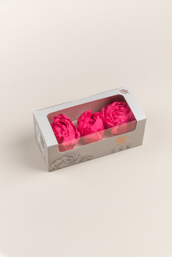 Peony - Box 3 heads