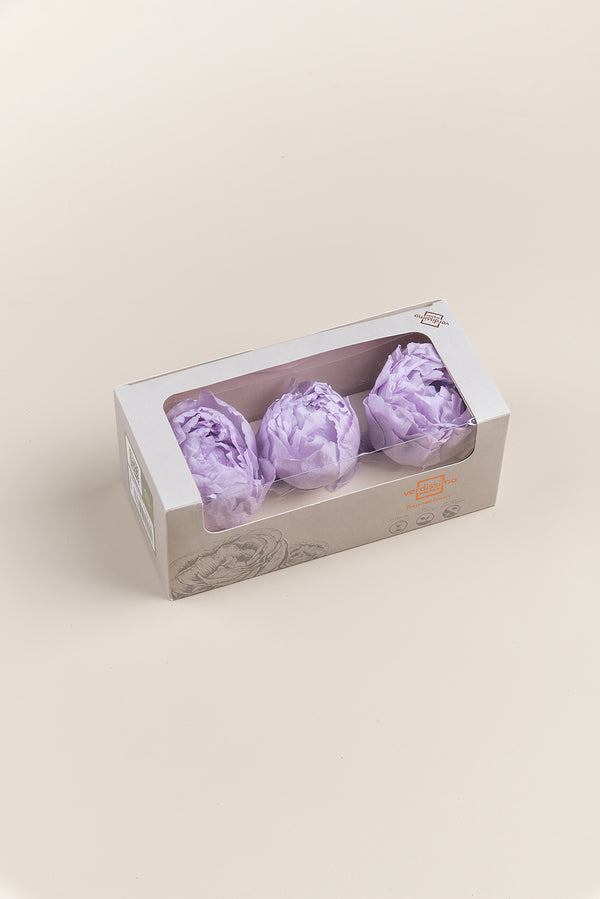 Peony - Box 3 heads