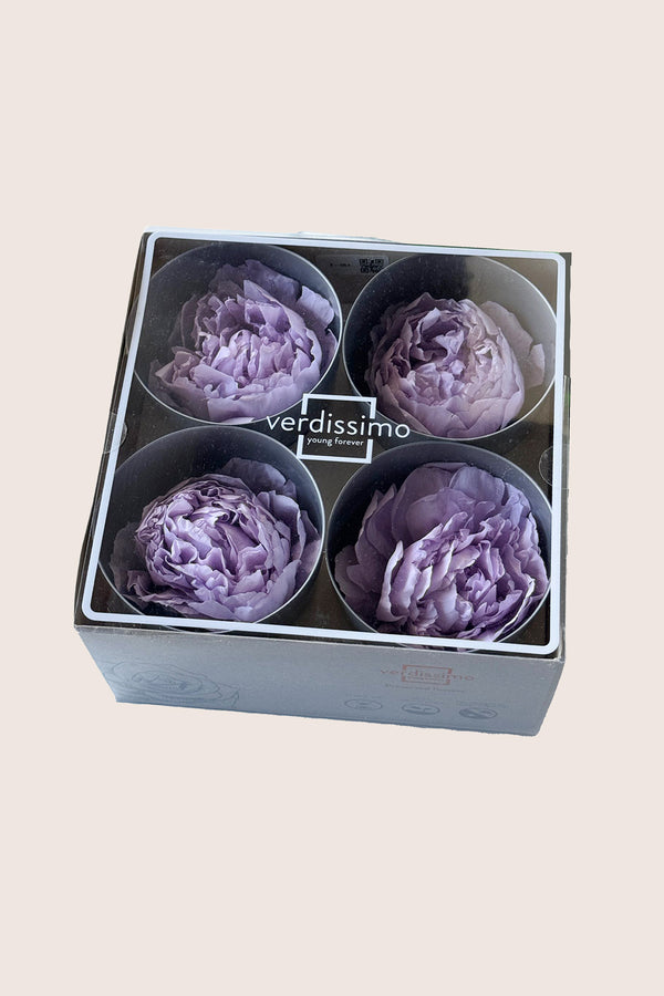 Peony Premium - Box 4 heads