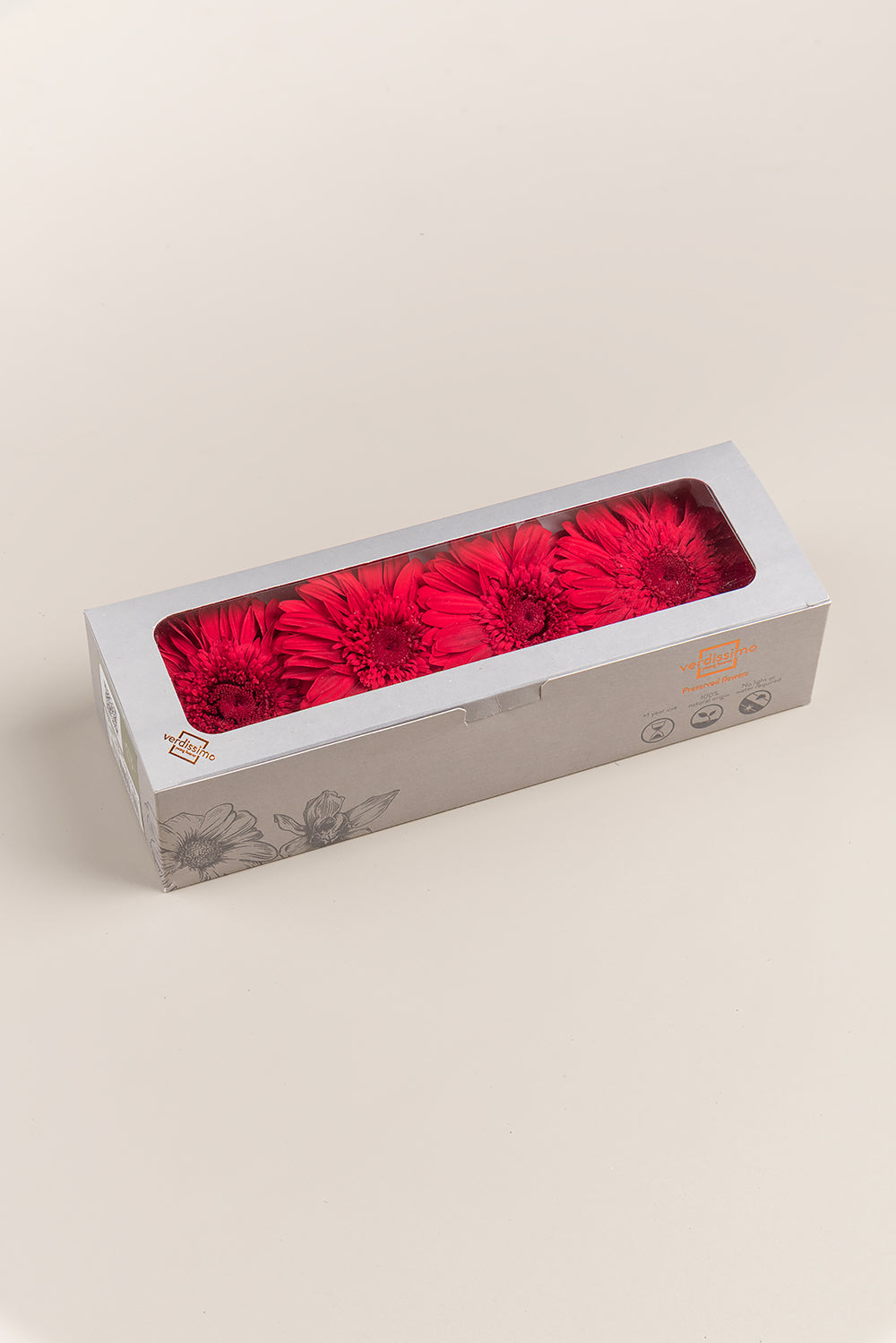 Gerbera With Stems - Box 4 u.