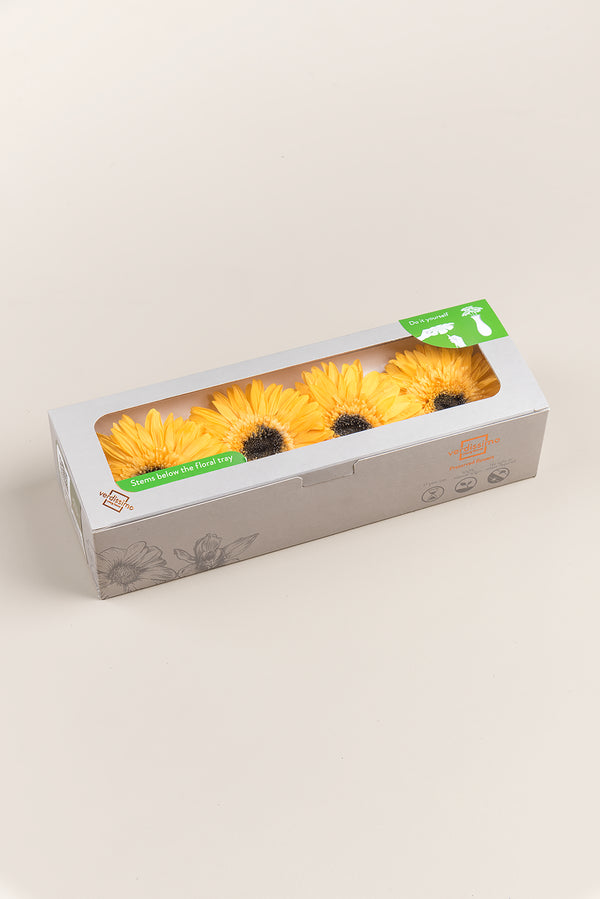 Gerbera With Stems - Box 4 u.