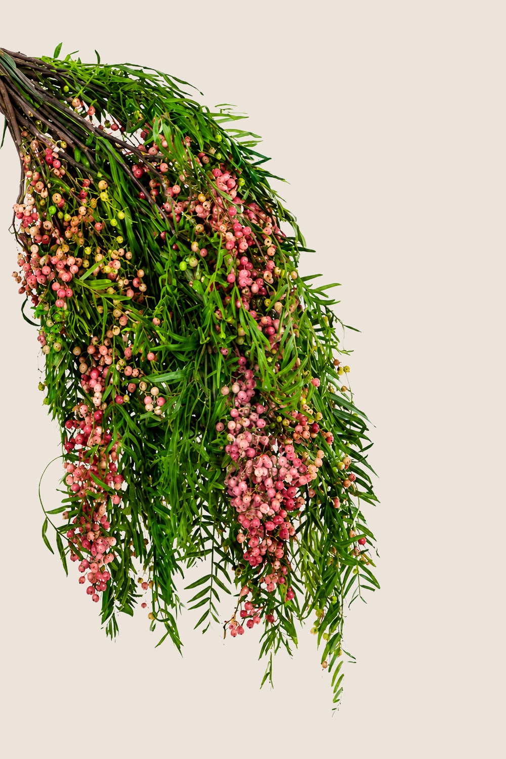 Pepper tree