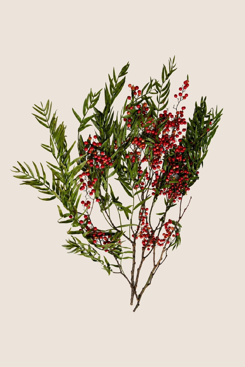 Pepper tree