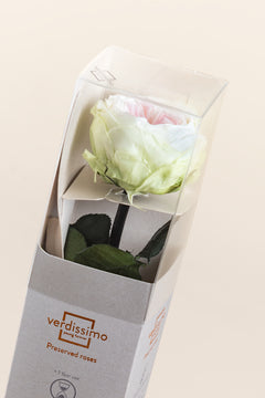 Blanc / Rose pastel / Vert pastel
