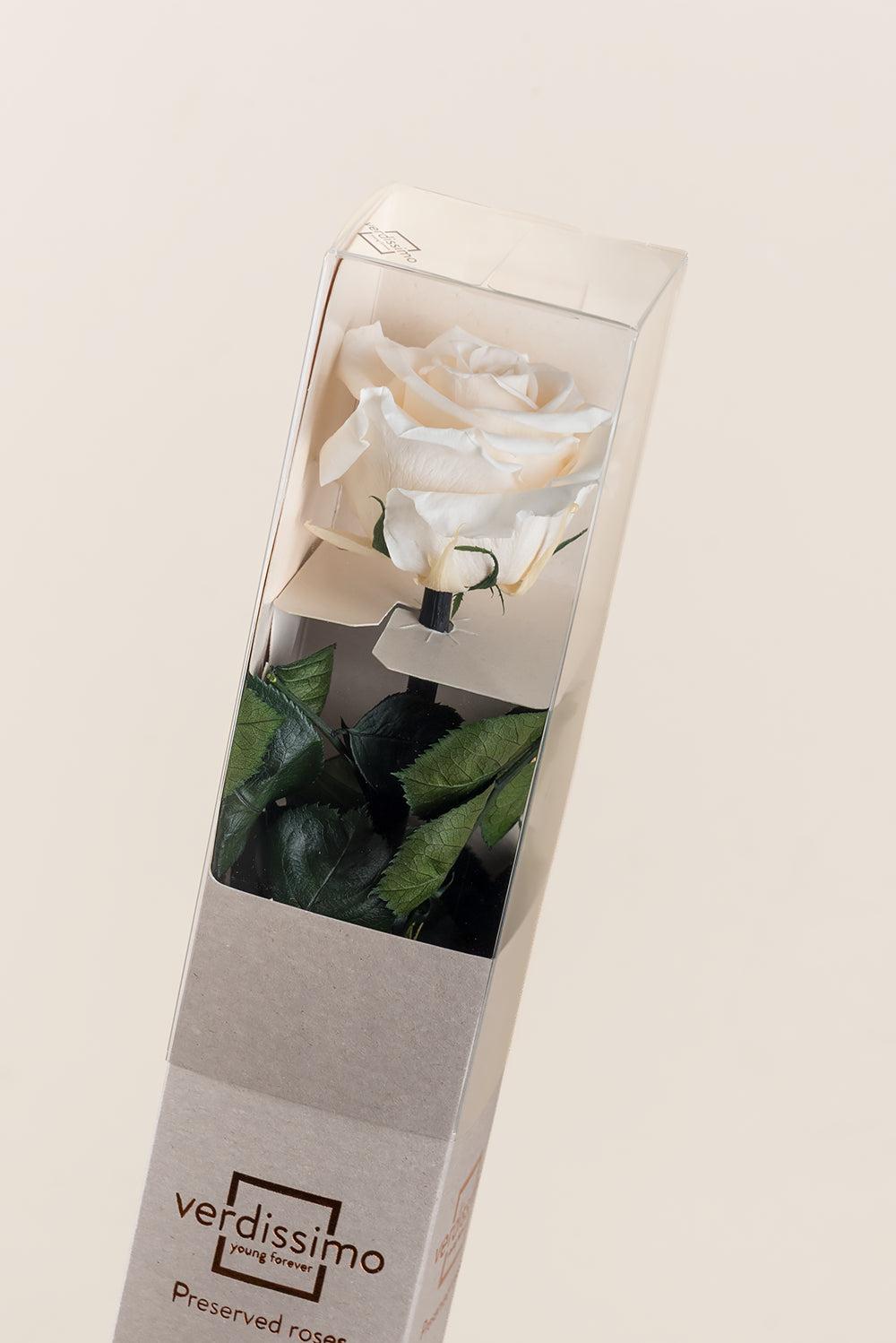 Amorosa Standard-Geschenkbox - Pack 20 u.