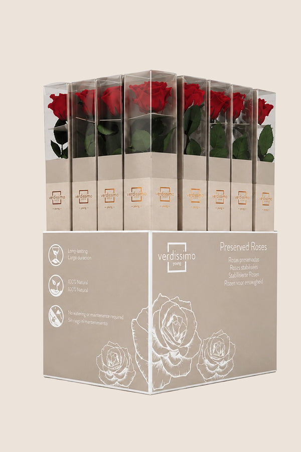 Amorosa Standard Gift Box Red - Pack 20 u.