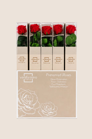 Amorosa Boîte Cadeau Standard Rouge - Pack 20 u.