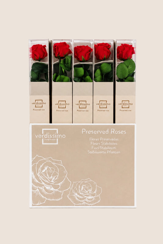 Amorosa Standard Gift Box Red - Pack 20 u.