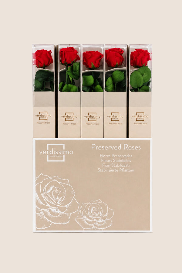 Amorosa Standard Gift Box Red - Pack 20 u.