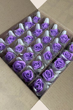 Bright Lilac