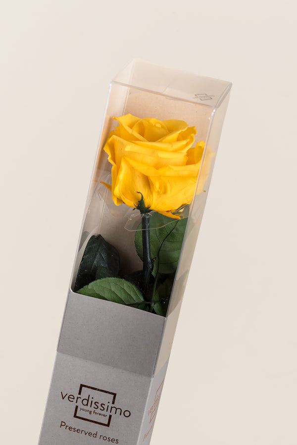 Amorosa Standard Gift Box - Pack 20 u.
