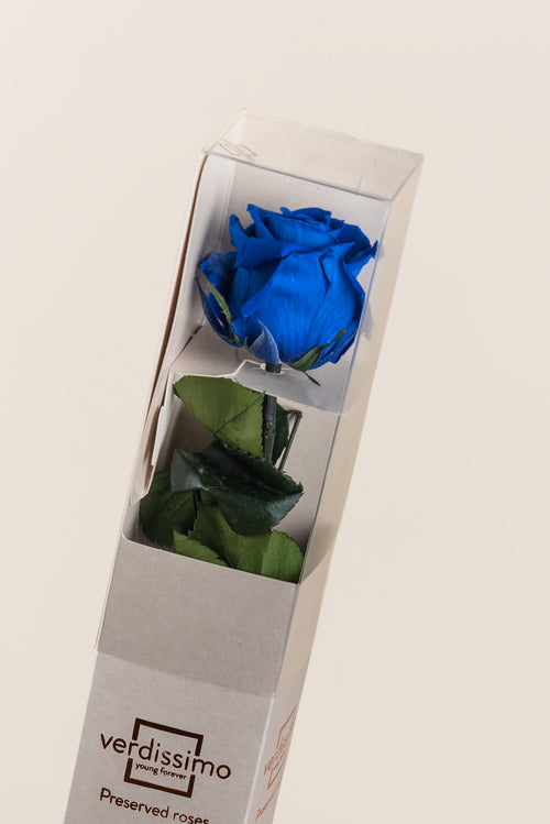 Amorosa Standard Gift Box - Pack 20 u.