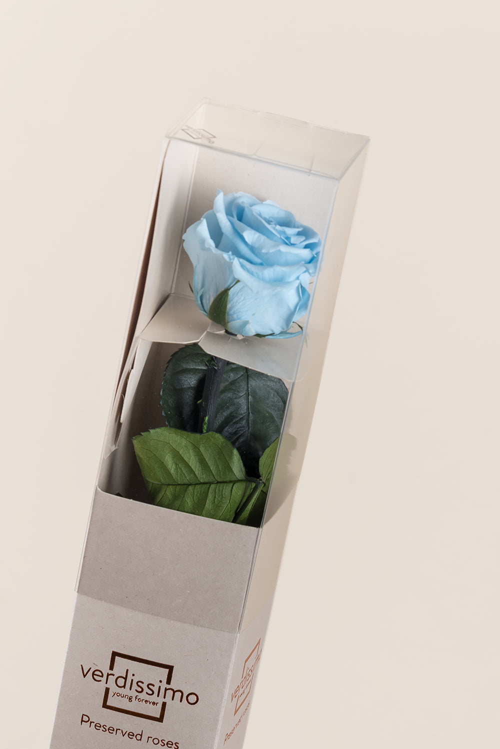 Amorosa Standard-Geschenkbox - Pack 20 u.