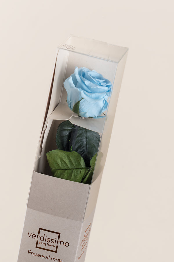 Amorosa Standard Gift Box - Pack 20 u.
