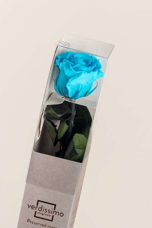 Amorosa Standard Gift Box - Pack 20 u.