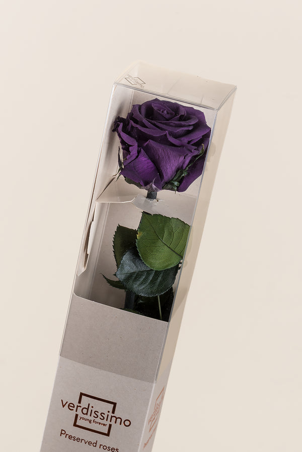 Amorosa Standard Gift Box - Pack 20 u.